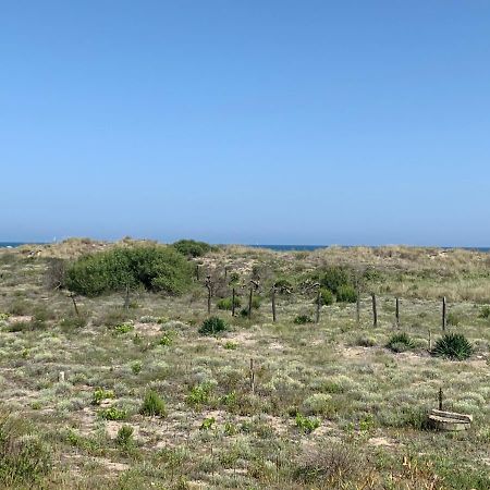 Mon Petit Paradis, Vue Sur Dunes Et Mer, Acces Direct Plage Robinson, Terrasse, Parking Prive, Tres Ressourcant, A Marseillan Plage Kültér fotó